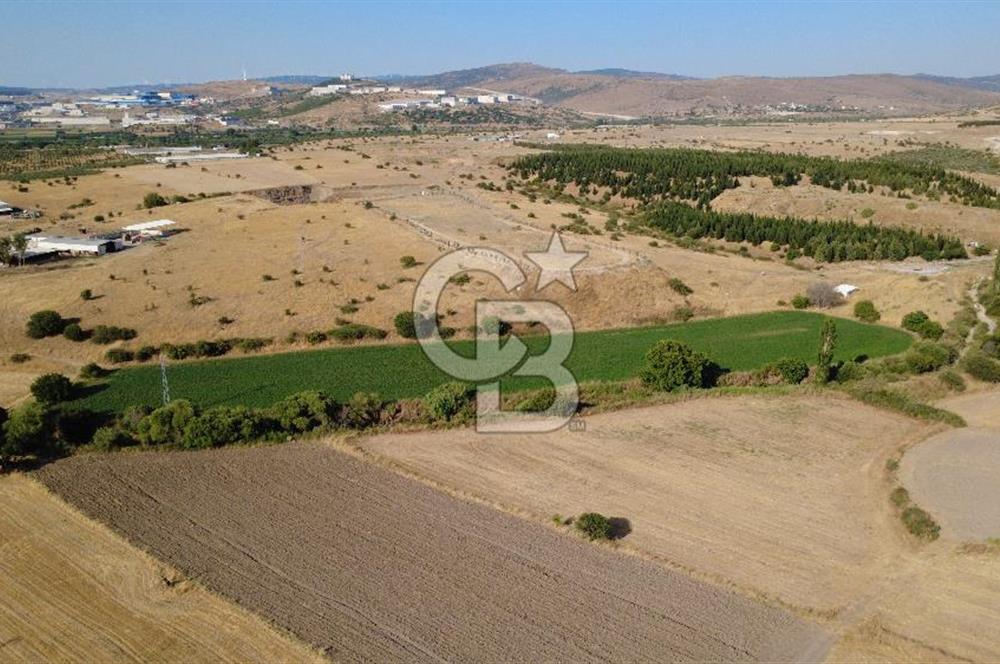 CB ODAK'TAN GÜZELHİSAR'DA SATILIK 4.149 m² MÜSTAKİL TAPULU TARLA