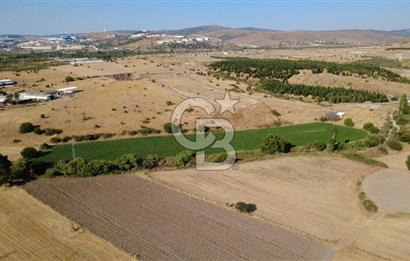 CB ODAK'TAN GÜZELHİSAR'DA SATILIK 4.149 m² MÜSTAKİL TAPULU TARLA