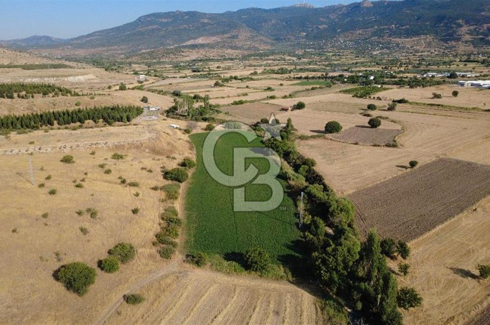 CB ODAK'TAN GÜZELHİSAR'DA SATILIK 4.149 m² MÜSTAKİL TAPULU TARLA
