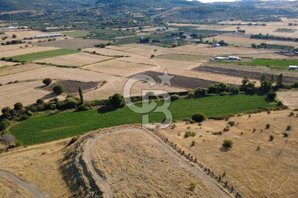 CB ODAK'TAN GÜZELHİSAR'DA SATILIK 4.149 m² MÜSTAKİL TAPULU TARLA