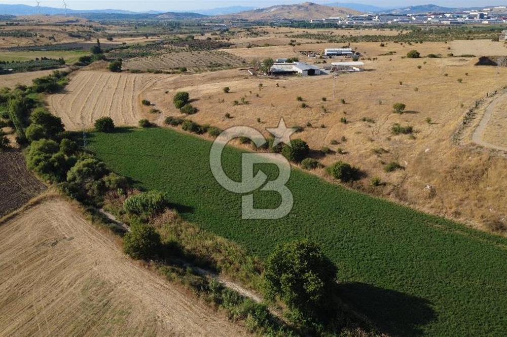 CB ODAK'TAN GÜZELHİSAR'DA SATILIK 4.149 m² MÜSTAKİL TAPULU TARLA