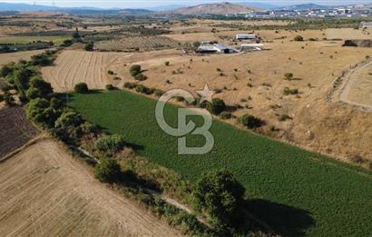 CB ODAK'TAN GÜZELHİSAR'DA SATILIK 4.149 m² MÜSTAKİL TAPULU TARLA