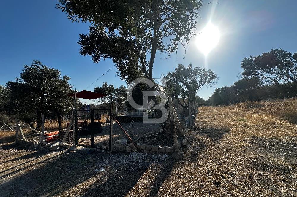 Foça ılıpınar mahallesi’nde 210m2 Satılık Arsa 