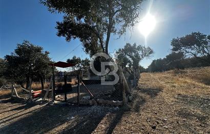 Foça ılıpınar mahallesi’nde 210m2 Satılık Arsa 