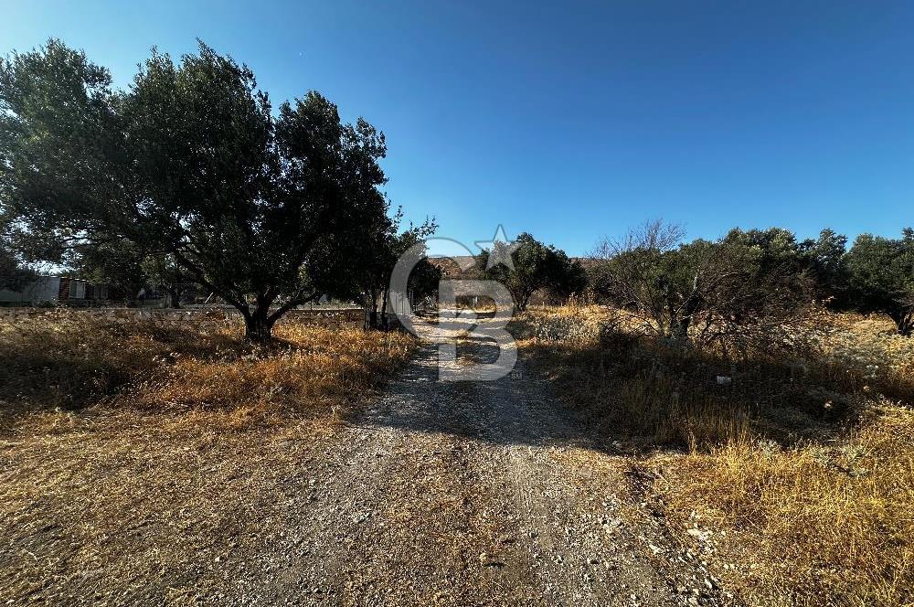 Foça ılıpınar mahallesi’nde 210m2 Satılık Arsa 