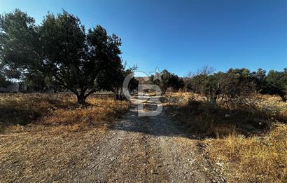Foça ılıpınar mahallesi’nde 210m2 Satılık Arsa 