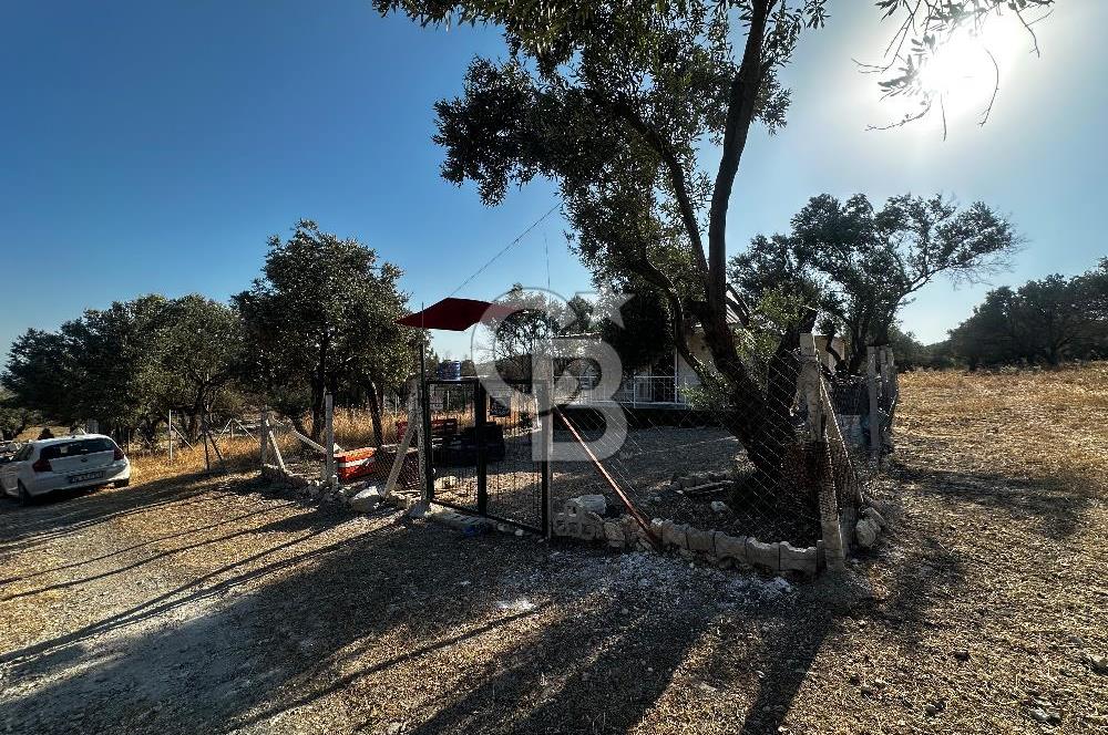 Foça ılıpınar mahallesi’nde 210m2 Satılık Arsa 