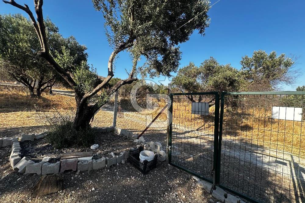 Foça ılıpınar mahallesi’nde 210m2 Satılık Arsa 