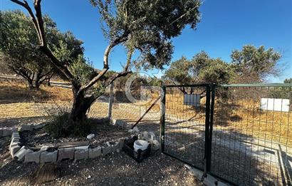 Foça ılıpınar mahallesi’nde 210m2 Satılık Arsa 