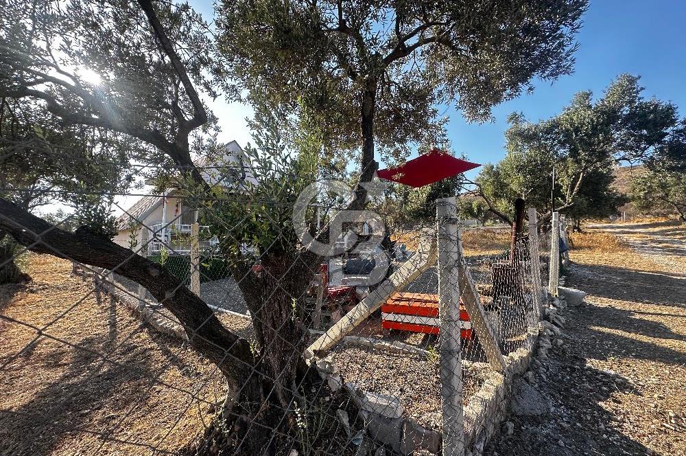 Foça ılıpınar mahallesi’nde 210m2 Satılık Arsa 
