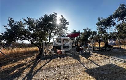 Foça ılıpınar mahallesi’nde 210m2 Satılık Arsa 