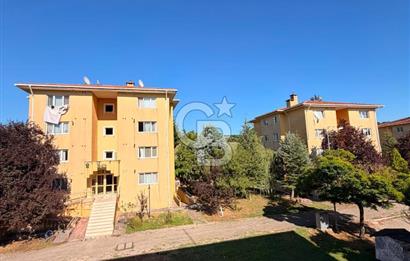 Korucuk Doğa Sitesi Yanında Merkezi Konumda Satılık 1+1 Daire!