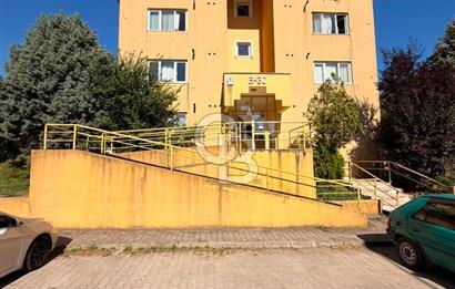 Korucuk Doğa Sitesi Yanında Merkezi Konumda Satılık 1+1 Daire!