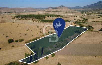 CB ODAK'TAN GÜZELHİSAR'DA SATILIK 4.149 m² MÜSTAKİL TAPULU TARLA