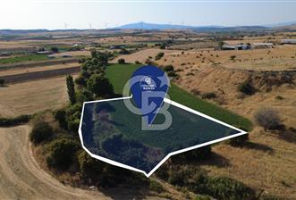 CB ODAK'TAN GÜZELHİSAR'DA SATILIK 4.149 m² MÜSTAKİL TAPULU TARLA - 8 - 364434
