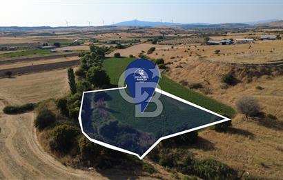 CB ODAK'TAN GÜZELHİSAR'DA SATILIK 4.149 m² MÜSTAKİL TAPULU TARLA