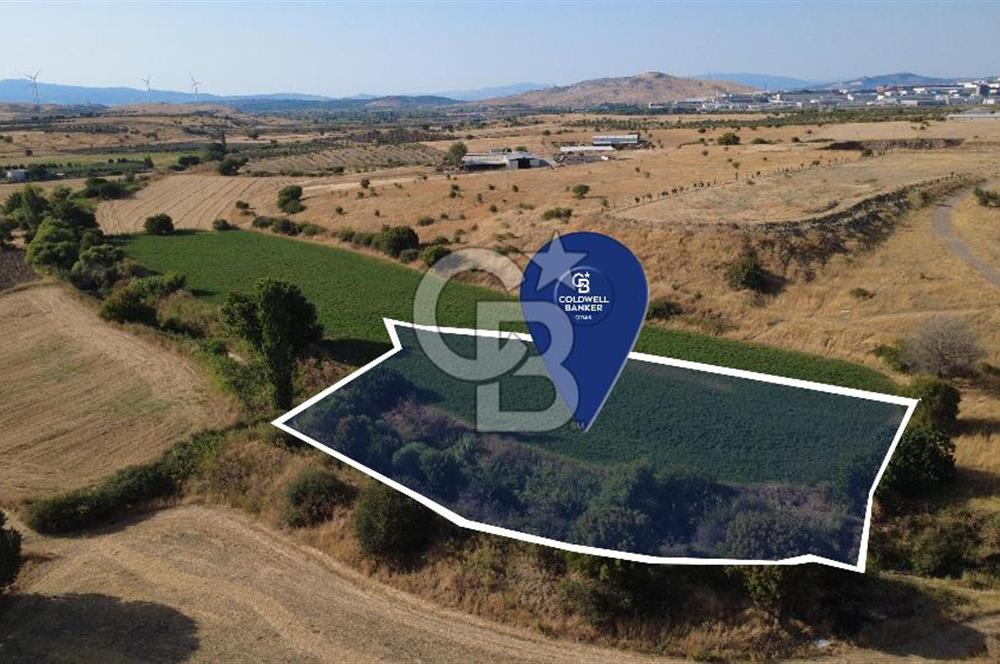 CB ODAK'TAN GÜZELHİSAR'DA SATILIK 4.149 m² MÜSTAKİL TAPULU TARLA