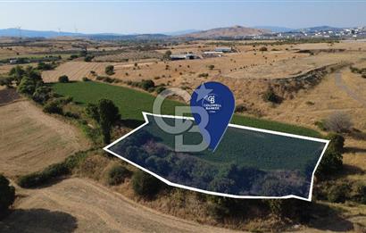 CB ODAK'TAN GÜZELHİSAR'DA SATILIK 4.149 m² MÜSTAKİL TAPULU TARLA