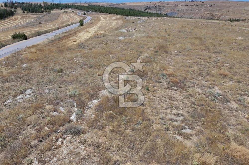 CB Vizyon'dan GÖLBAŞI BALLIKPINAR MAHALLESİ'NDE TEK TAPU ARSA