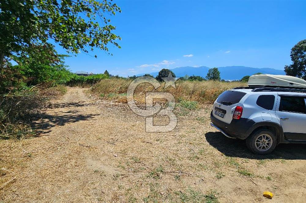 BURSA OSMANGAZİ YENİCEABAT MAHALLESİNDE SATILIK BAHÇE