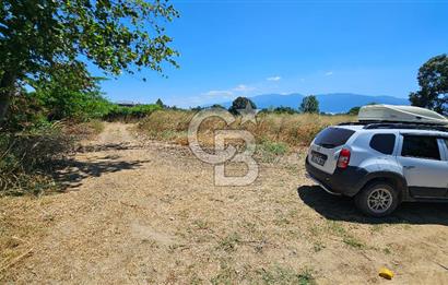 BURSA OSMANGAZİ YENİCEABAT MAHALLESİNDE SATILIK BAHÇE