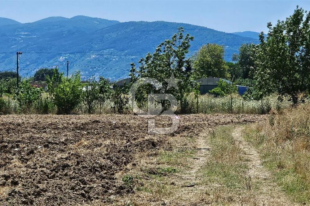 BURSA OSMANGAZİ YENİCEABAT MAHALLESİNDE SATILIK BAHÇE