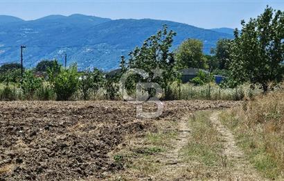 BURSA OSMANGAZİ YENİCEABAT MAHALLESİNDE SATILIK BAHÇE