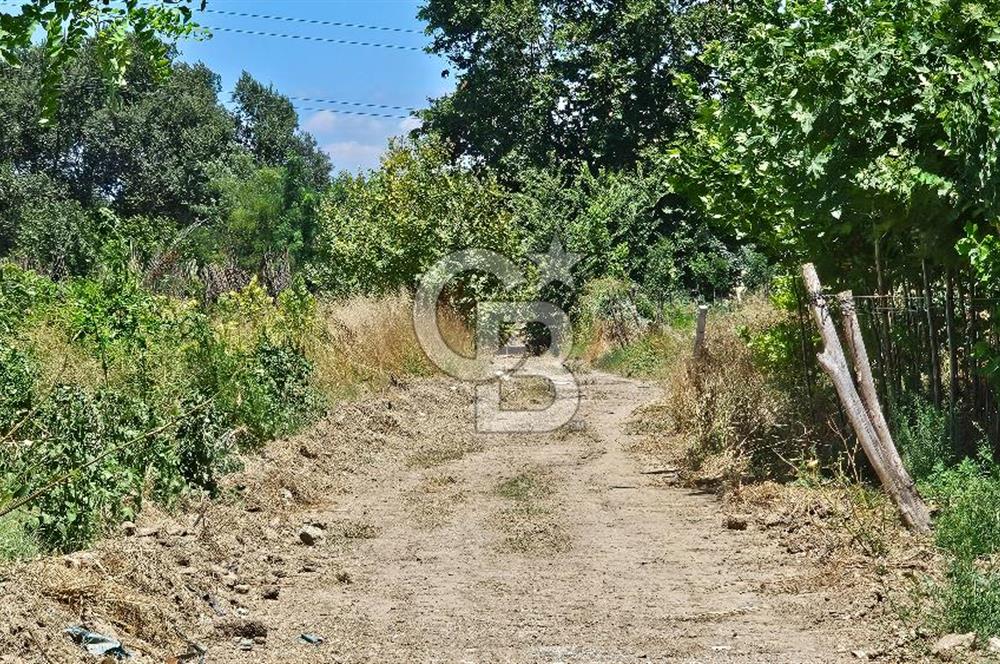 BURSA OSMANGAZİ YENİCEABAT MAHALLESİNDE SATILIK BAHÇE
