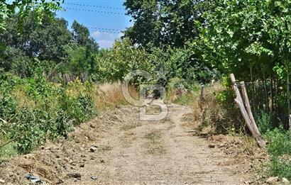 BURSA OSMANGAZİ YENİCEABAT MAHALLESİNDE SATILIK BAHÇE