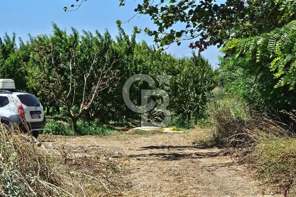 BURSA OSMANGAZİ YENİCEABAT MAHALLESİNDE SATILIK BAHÇE