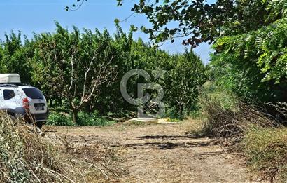 BURSA OSMANGAZİ YENİCEABAT MAHALLESİNDE SATILIK BAHÇE