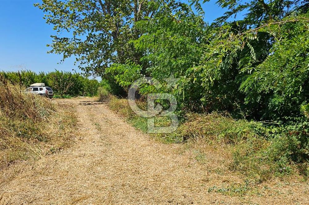 BURSA OSMANGAZİ YENİCEABAT MAHALLESİNDE SATILIK BAHÇE