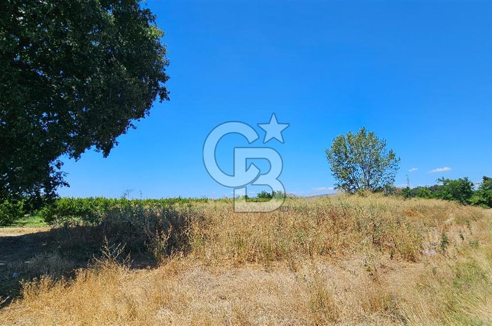 BURSA OSMANGAZİ YENİCEABAT MAHALLESİNDE SATILIK BAHÇE