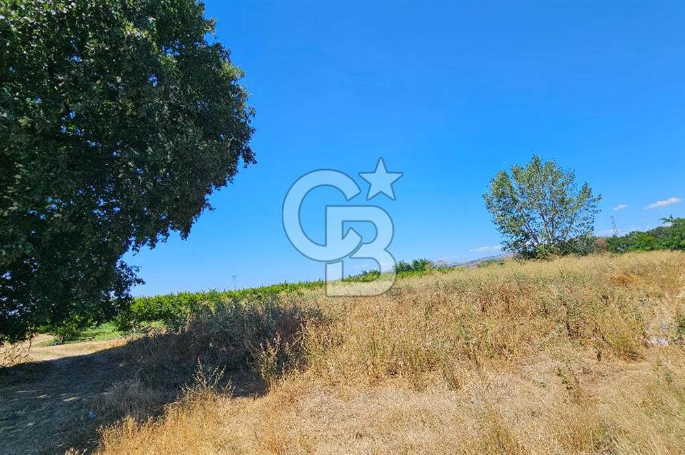 BURSA OSMANGAZİ YENİCEABAT MAHALLESİNDE SATILIK BAHÇE