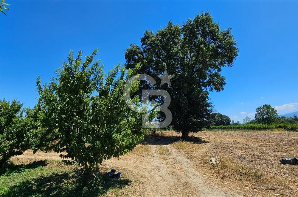 BURSA OSMANGAZİ YENİCEABAT MAHALLESİNDE SATILIK BAHÇE