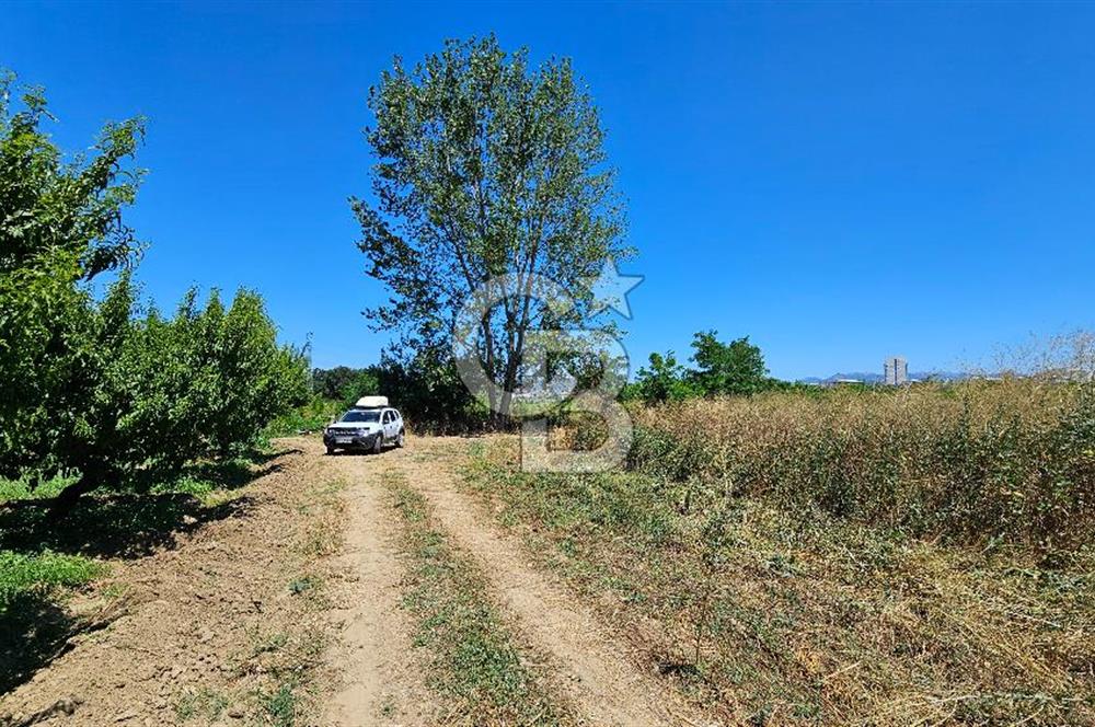 BURSA OSMANGAZİ YENİCEABAT MAHALLESİNDE SATILIK BAHÇE