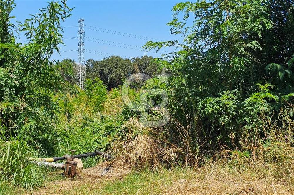 BURSA OSMANGAZİ YENİCEABAT MAHALLESİNDE SATILIK BAHÇE