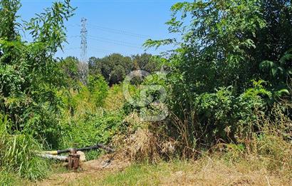 BURSA OSMANGAZİ YENİCEABAT MAHALLESİNDE SATILIK BAHÇE