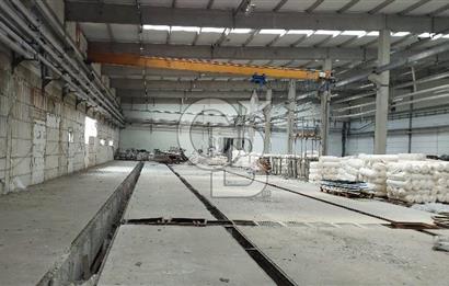 Tekirdağ Ergene 2 OSB İçinde Satılık 12.000 M2 Fabrika ve Arsası