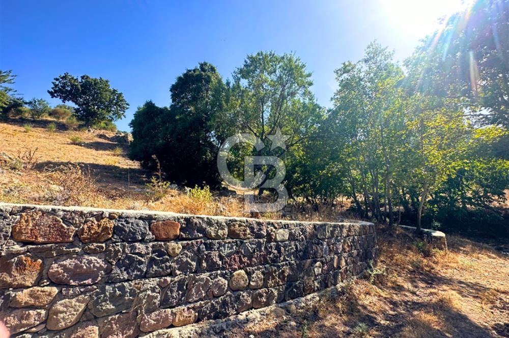 Çanakkale Ayvacık Pırnardere 9972m² Projelik Satılık İmarlı Arsa