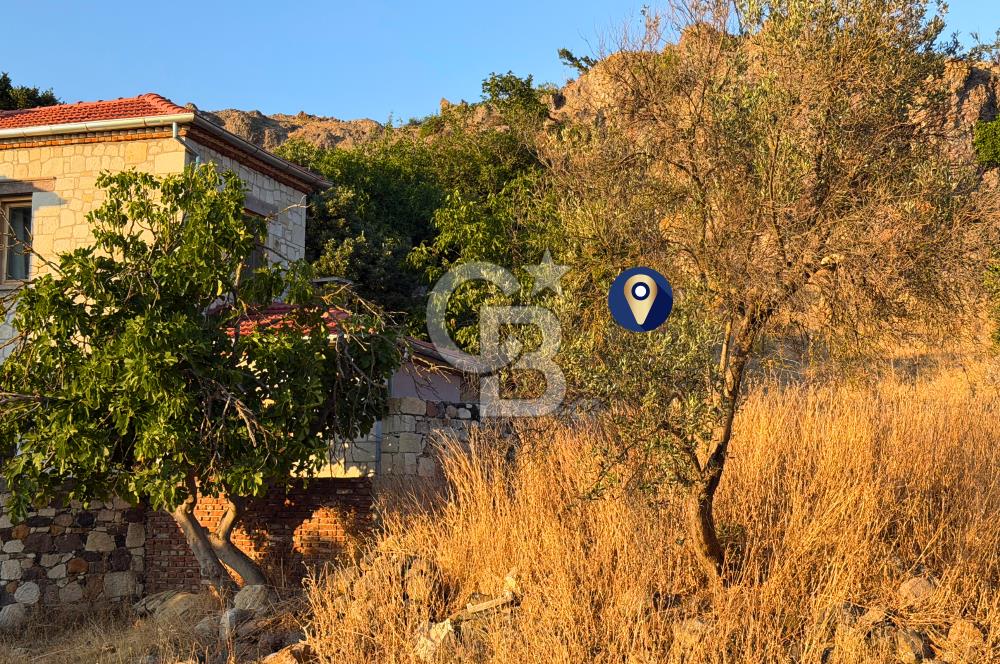 Çanakkale Ayvacık Süleymanköy Doğanın Kalbinde 465m² İmarlı Arsa