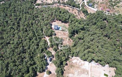 BORNOVA YAKAKÖYDE 1400 M2 SATILIK TARLA
