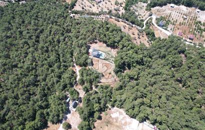 BORNOVA YAKAKÖYDE 1400 M2 SATILIK TARLA