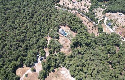 BORNOVA YAKAKÖYDE 1400 M2 SATILIK TARLA