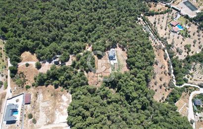 BORNOVA YAKAKÖYDE 1400 M2 SATILIK TARLA