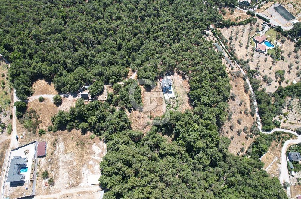 BORNOVA YAKAKÖYDE 1400 M2 SATILIK TARLA