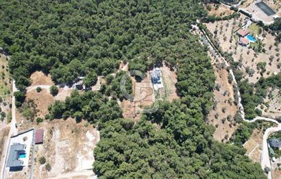 BORNOVA YAKAKÖYDE 1400 M2 SATILIK TARLA