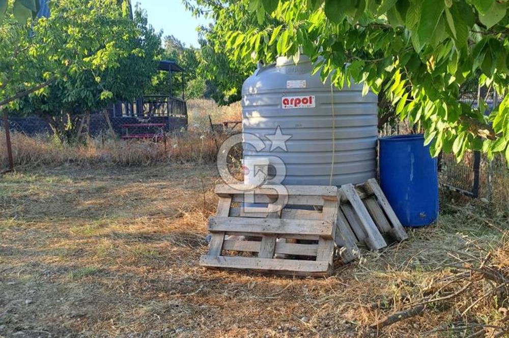 Bornova'nın gözdesi Yakaköy'de satılık hisseli tarla
