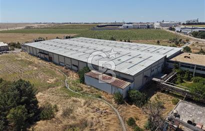Tekirdağ Ergene 2 OSB İçinde Satılık 12.000 M2 Fabrika ve Arsası