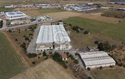 Tekirdağ Ergene 2 OSB İçinde Satılık 12.000 M2 Fabrika ve Arsası